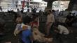 Egipto: ‘Viernes de la ira’ acabó con 173 muertos