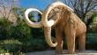 ¿Vale la pena clonar a un mamut?