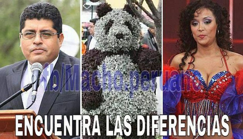 Como si fuera el argumento de una novela, el alcalde de Surco le regaló árbol en forma de oso a Zanetti. (Facebook: Macho peruano que se respeta)