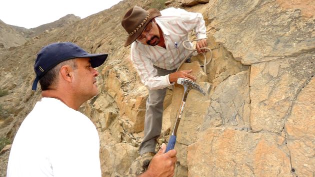 Fósil será exhibido en el Museo Tumbas Reales de Sipán. (Andina)