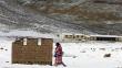 Región Arequipa declarará en emergencia zonas afectadas por nevadas