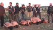 VIDEO: Rebeldes sirios ejecutan a soldados y arrojan cuerpos a un pozo
