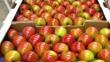 Perú levantaría restricciones al ingreso de manzana chilena