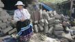Arequipa: Más de mil damnificados por sismo