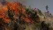 Pasco: Incendio forestal arrasa con cinco hectáreas de sembríos