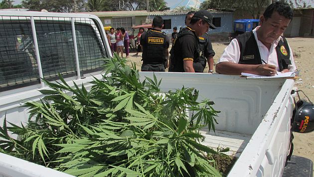 Autoridades incineraron las plantas de marihuana. (USI/Referencial)
