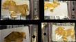 Arqueólogos belgas hallan piezas de oro preincas en lago Titicaca