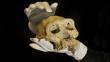 Hallazgo de cráneo sugiere que ancestros humanos eran una sola especie