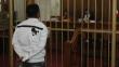 Cajamarca: Condenan a 22 años de cárcel a narcotraficante 