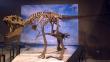 EEUU: Hallan el antepasado más antiguo del Tyrannosaurus rex