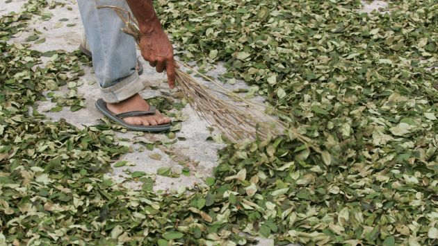 El Perú redujo en 3.4% los cultivos de coca en 2012. (Perú21)