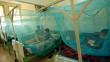 Loreto: Alerta por dengue en Yurimaguas 