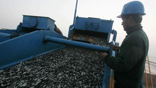 Reservan 10 millas marinas para la extracción de anchoveta destinada al consumo humano directo. (USI)