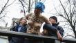 Alemania: Activistas de Femen protestan contra Juegos Olímpicos de Invierno