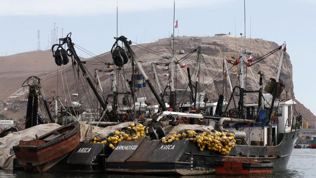 Chile: Armada recomendó no pescar más allá de las 80 millas. (EFE)