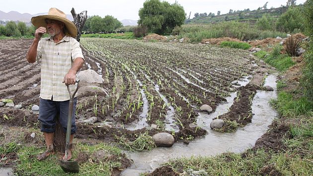 ComexPerú: El Estado debe promover mayores proyectos de irrigación. (USI)