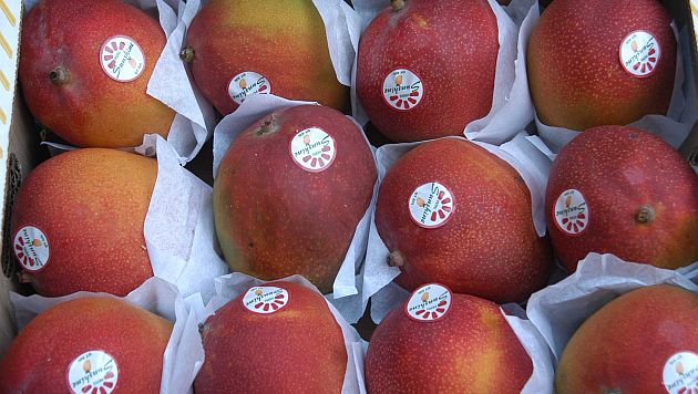 El mango es uno de los principales productos exportados. (USI)