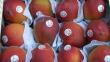 Agroexportación de frutas y hortalizas creció 20% en 2013