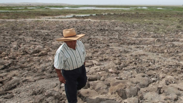 Hasta el momento 3,016 hectáreas de cultivo se han visto afectadas en Piura debido a la falta de lluvias. (USI)