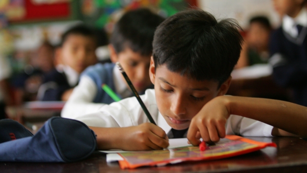 ECE 2013: Mejora el nivel de comprensión lectora en escolares. (Fidel Carrillo)