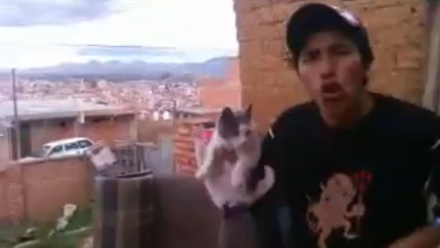 Maltrato animal: Sujeto se graba lanzando a gato por los aires. (Internet)