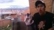 Maltrato animal: Sujeto se graba lanzando desde tejado a gato por los aires