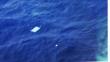 Malasia: Publican primera foto de objeto que sería del avión desparecido