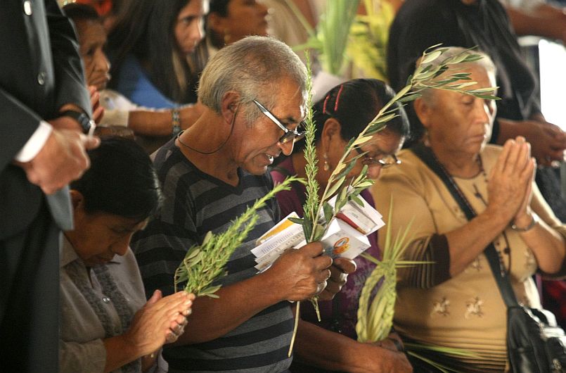 Las iglesias de la capital hoy recibieron a los fieles católicos que celebraron el Domingo de Ramos, inicio de la Semana Santa. (Andina)