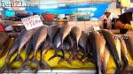 ¿Cuánto cuesta el pescado en el Mercado Central? (Perú 21)