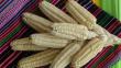 Perú registra en Chile denominación de origen “Maíz Blanco Gigante Cusco”