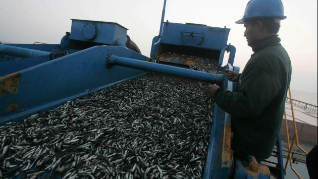 Gobierno establece un captura de 2.53 millones de toneladas de anchoveta (USI)