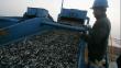 Gobierno establece una captura de 2.53 millones de toneladas de anchoveta 