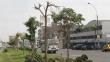 La Victoria: Punto Visual taló árboles sin permiso de la municipalidad