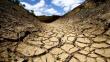 BBVA: Sequías podrían impactar en los precios del arroz y azúcar