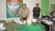 Casma: Policía captura a cinco sujetos con 926 plantones de marihuana