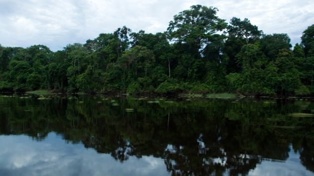 Pacaya Samiria: Zona de reserva fue declarada en emergencia ambiental. (USI)