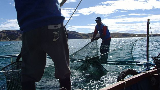 Adex asegura que acuicultura tiene mucho potencial. (Andina)