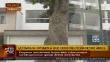 Surco: Vecinos se oponen a retiro de un árbol de 50 años