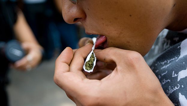 Guatemala plantea legalizar la exportación de marihuana. (AP)