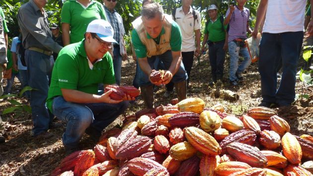 Devida promueve cultivos alternativos en el Alto Huallaga. (Difusión)