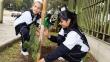 Jesús María: Escolares siembran más de 100 árboles por la ecología 