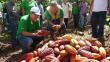 Ucayali: Devida promueve los cultivos alternativos en el Alto Huallaga