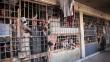 Siria: Bashar al Assad declara una “amnistía general” para prisioneros