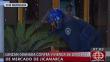 San Juan de Lurigancho: Detonan granada en casa de dirigente de mercado