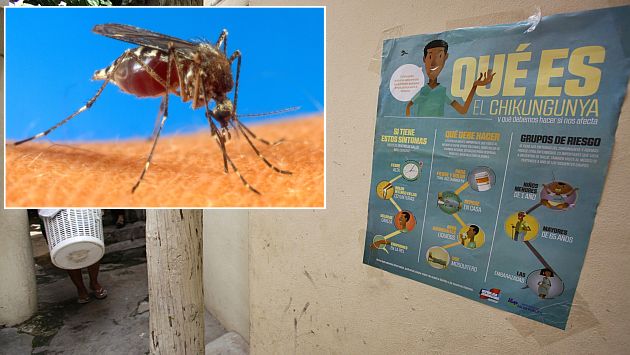 Minsa confirma dos casos importados de fiebre Chikungunya en el Perú. (EFE/AP)
