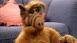 ‘Alf’ volvería muy pronto a la televisión