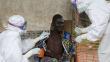 Ébola: Todo lo que debes saber de la mortal epidemia que surgió en África