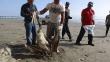 Lambayeque: Aves aparecen muertas en playa de Puerto Eten