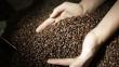 Junín: Cafetaleros de Satipo mejoran su producción y la calidad del grano 