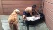 YouTube: Perro se relaja mientras recibe baño de su dueño